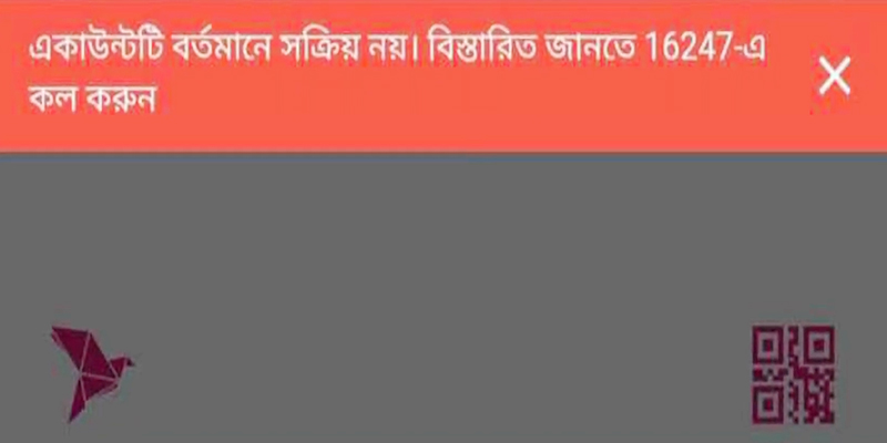 Transaction Is Not Possible With This Account Bkash